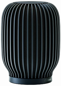 Умная колонка SberBoom (Чёрный)