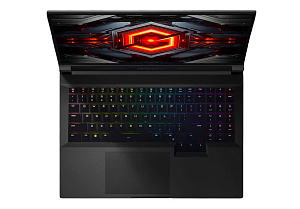 Ноутбук Xiaomi Redmi G Pro (JYU4564CN) (Черный, 16 ГБ, 1 ТБ)