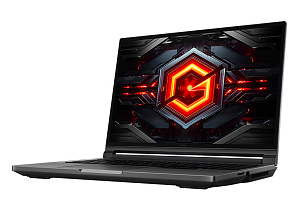 Ноутбук Xiaomi Redmi G Pro (JYU4564CN) (Черный, 16 ГБ, 1 ТБ)