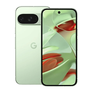 Смартфон Google Pixel 9 12/256GB USA (12 ГБ, 256 ГБ, Зелёный, США, nanoSim+eSim, Без Rustore)