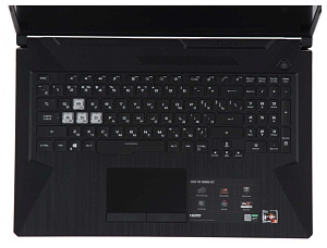 Ноутбук ASUS TUF Gaming A17 FX706II-AU038T (AMD Ryzen 5 4600H 3000MHz/17.3"/1920x1080/8GB/512GB SSD/NVIDIA GeForce GTX 1650 Ti 4GB/Windows 10 Home) (RU/A) (Чёрный, 512 ГБ, 8 ГБ, RU)