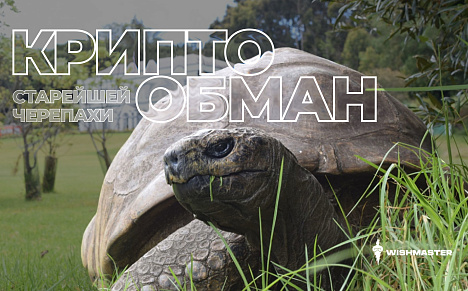 Старейшая в мире черепаха стала жертвой вирусного криптоскама. ЧТО?!?