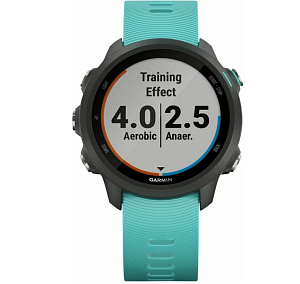 Умные часы Garmin Forerunner 245 Music (Голубой)