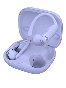 Беспроводные наушники Beats Powerbeats Pro 2 (Фиолетовый)