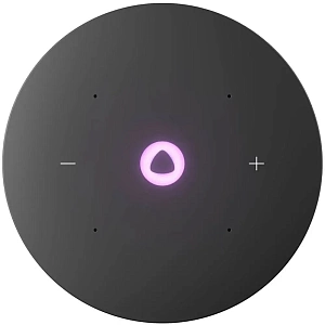 Умная колонка Яндекс Станция Мини 3 Про (Серый)