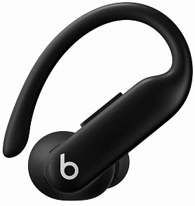 Беспроводные наушники Beats Powerbeats Pro 2 (Черный)