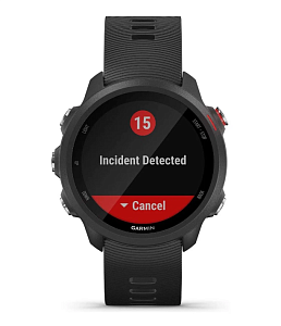 Умные часы Garmin Forerunner 245 Music (Чёрный)